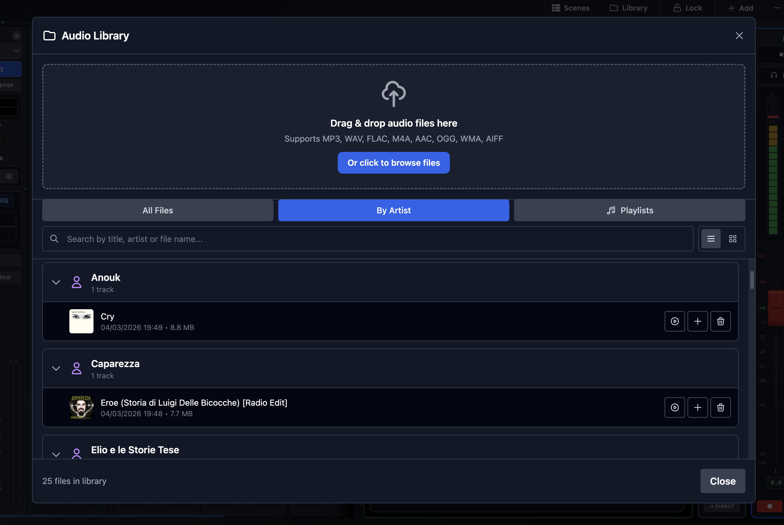 Audio Library Organization